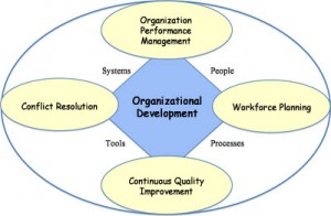 Organization Development