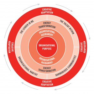 Organisational Balance ctp